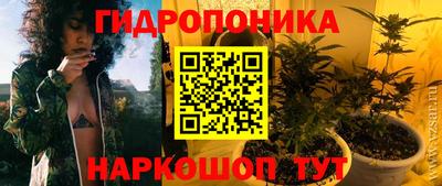 прущие грибы Малгобек