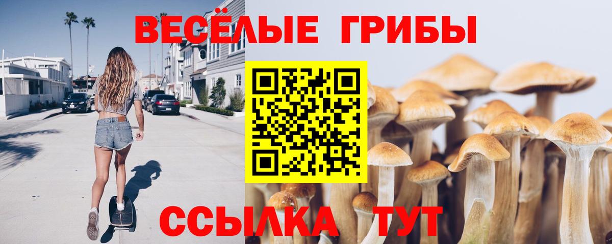 закладки  Галлюциногенные грибы Psilocybine cubensis  Вход с VPN  Богородск  Псилоцибиновые грибы прущие грибы 